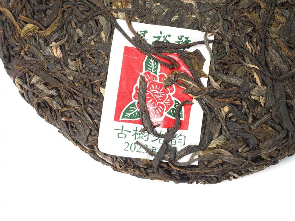 茶知己 – 古树岩韵普洱茶(邦东250年古树)