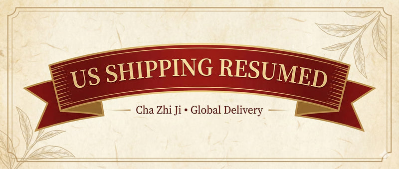 Update: Shipping to the United States Resumed (Duties & Taxes Policy)